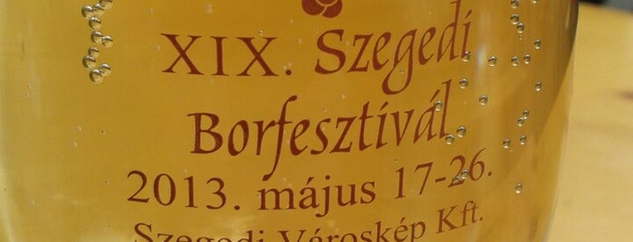Szegedi Borfesztivál is one of Borturizmus / Wine tourism.