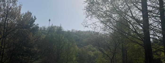 난지천공원 is one of Posti salvati di Seunghyun.