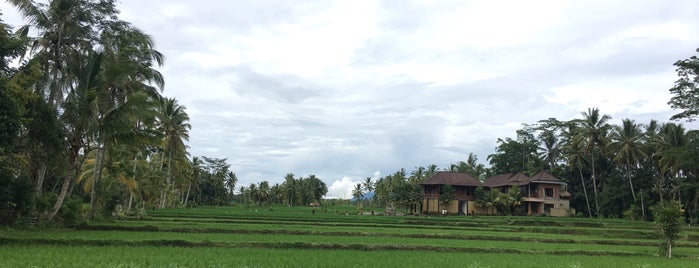 Pajar House Ubud is one of Bali.