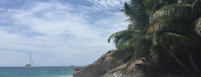 Seychelles is one of 4sq上で未訪問の国や地域.