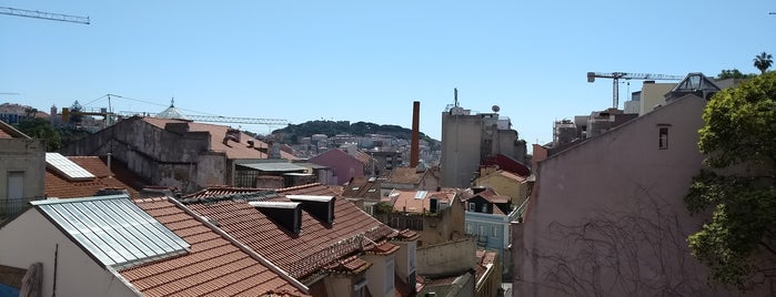 Milanesa is one of Lisbon.