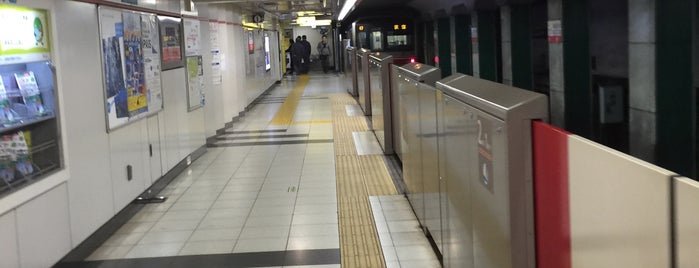 Shinjuku-gyoemmae Station (M10) is one of Tokyo Subway Map.