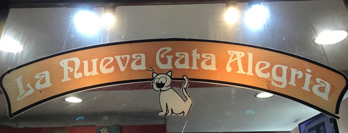 La Nueva Gata Alegría is one of สถานที่ที่ Guido ถูกใจ.