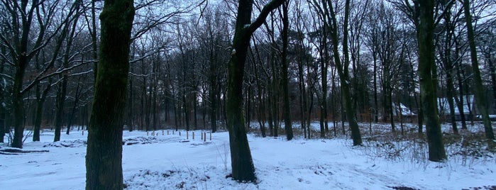 MTB route Lage Vuursche is one of mTB-Routes.