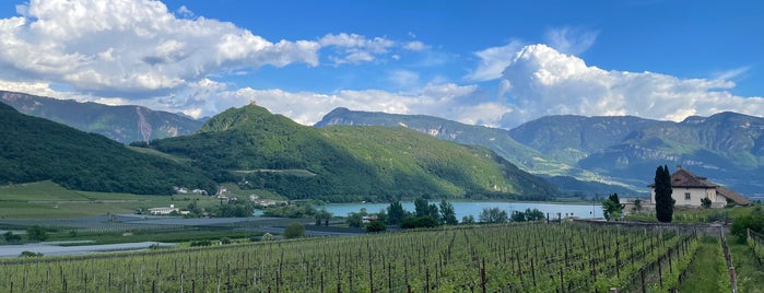 Manincor Kellerei is one of Südtirol.