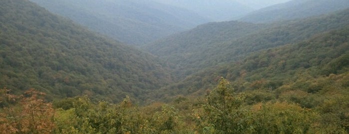 Craggy Gardens is one of Asheville NC Trip.