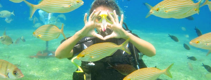 Muğla Dalyan Koyu Scuba Diving is one of Kas.