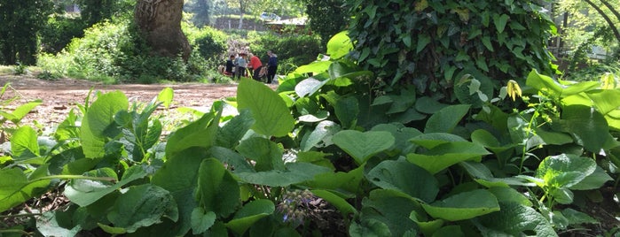 Maşukiye Şelale is one of Serkan’s Liked Places.