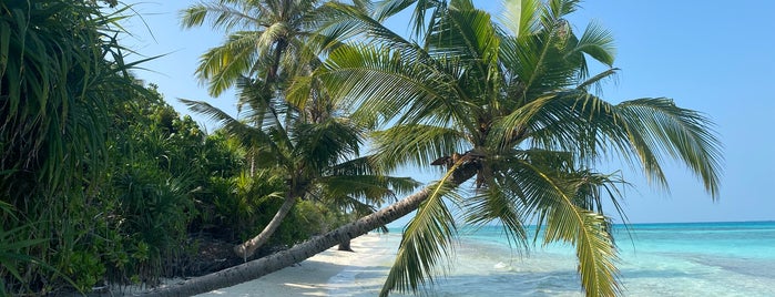 Dhigurah Beach is one of mikko’s Liked Places.