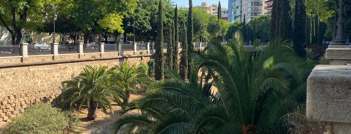 Passeig de Mallorca is one of Espana.