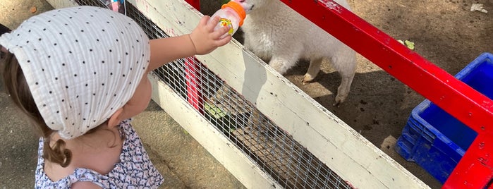Pattaya Sheep Farm is one of Паттайя 2018.