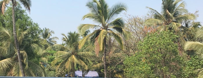 pleasure Beach Resort is one of Tempat yang Disukai Oksana.