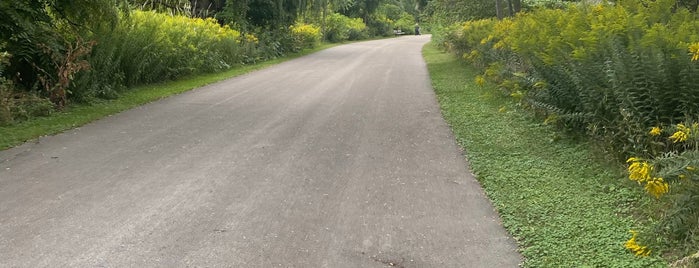 Hamilton Beach Trail is one of Outdoors.