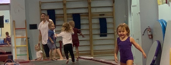 Fort Lauderdale Stars Gymnastics is one of Fun.