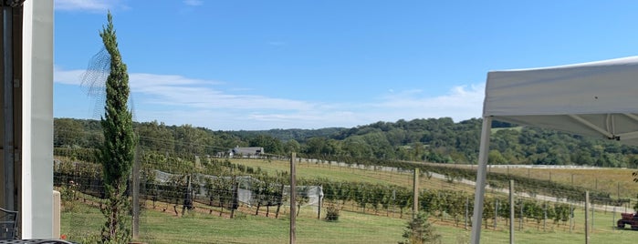 Stargazers Vineyard & Winery is one of pennsylvania wineries.