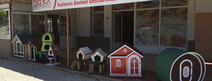 PetshopAvm.com is one of Orkun'un Beğendiği Mekanlar.