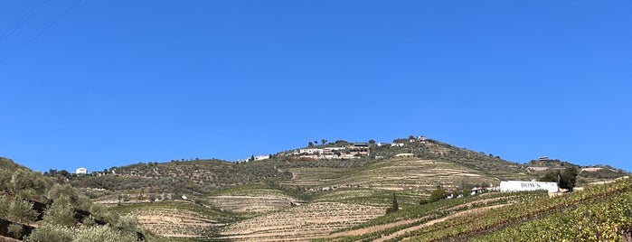 Quinta do Bomfim is one of portugal.