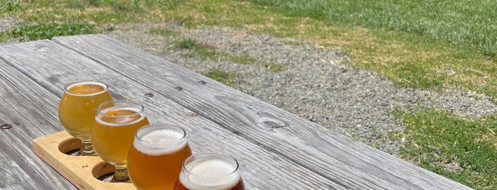 Anderson Valley Brewing Company is one of The Northern.