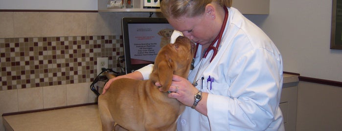 Animal Hospital of Howard is one of Green Bay Area.