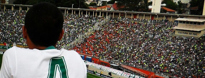 Estádio Municipal Paulo Machado de Carvalho (Pacaembu) is one of Tempat yang Disukai Carlos.