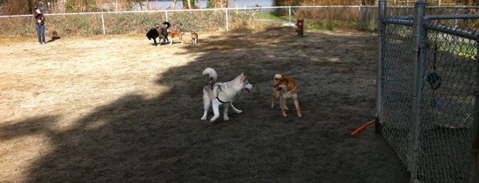Rocky Point Park Dog Run is one of Dog Parks in British Columbia.