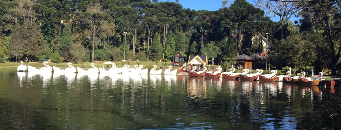 Lago Negro is one of Tempat yang Disukai iHARA.