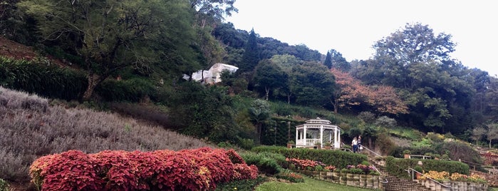Le Jardin Parque de Lavanda is one of Locais curtidos por iHARA.