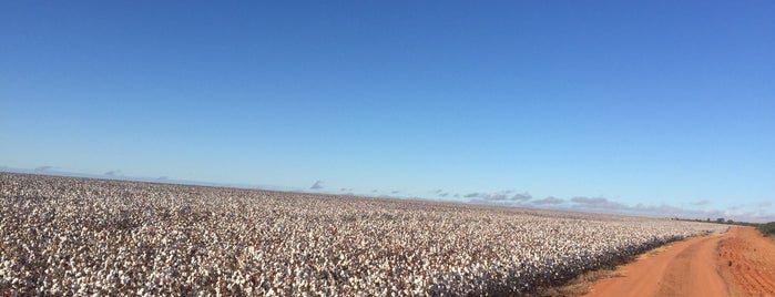 Fazenda Panorama - SLC Agrícola is one of Tempat yang Disukai iHARA.