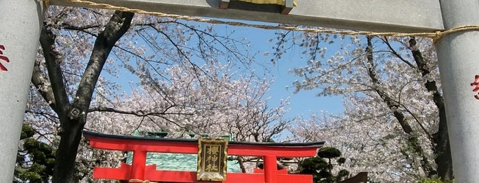 櫻神社 is one of Tempat yang Disukai Gondel.