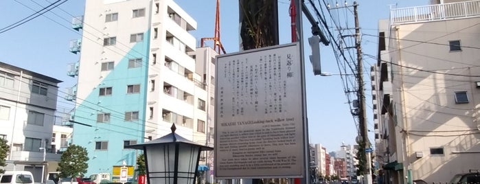 見返り柳 is one of 史跡.