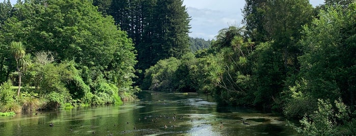 Hamurana Springs Reserve is one of Rotorua Outdoors.
