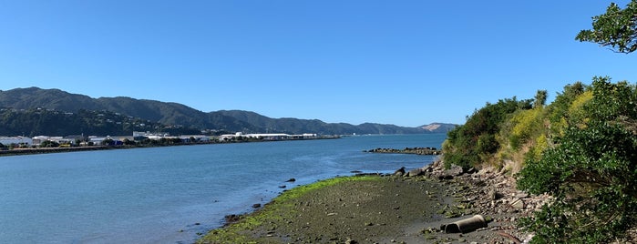 Hikoikoi Reserve is one of Child Friendly Places in Lower Hutt.