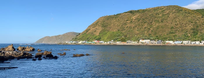 Owhiro Bay is one of Wellington.