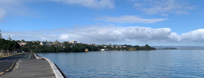 Point Erin Park is one of Auckland Central Western Parks.