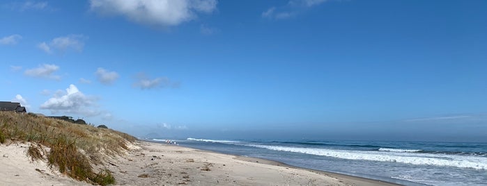 NZ beaches