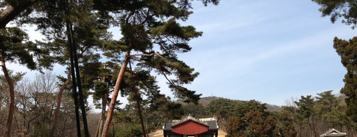 Taereung is one of Guide to SEOUL(서울)'s best spots(ソウルの観光名所).