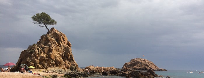 Platja de Mar Menuda is one of Аленаさんのお気に入りスポット.