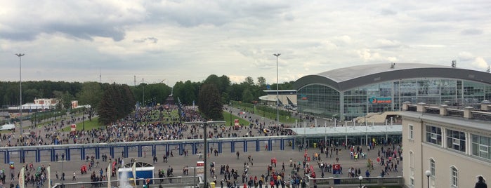 Gazprom Arena is one of Аленаさんのお気に入りスポット.