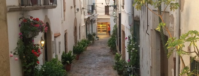 Castell de Tossa de Mar - Vila Vella is one of Locais curtidos por Алена.