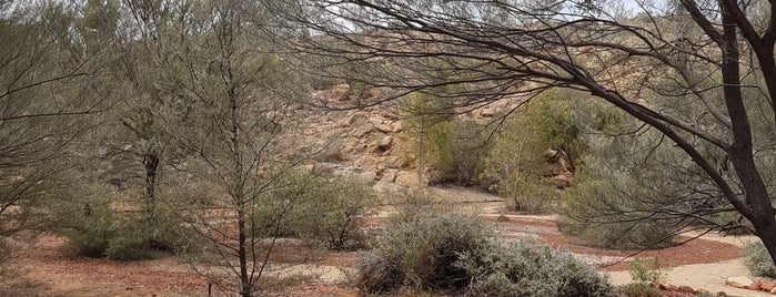 Olive Pink Botanic Garden is one of Outback.