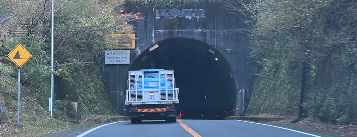 新天城トンネル is one of 中部地方.