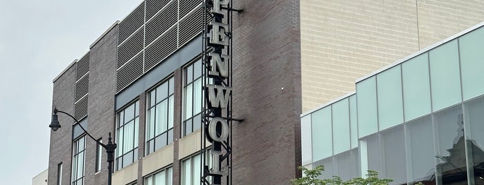 Steppenwolf Theatre Company is one of Chicago.