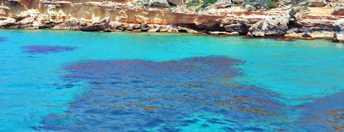Playa de la Isla de Tagomago is one of We're going to Ibiza!.