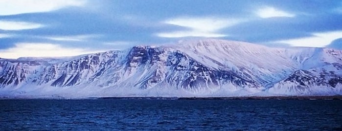 Skuggahverfið is one of IJsland.