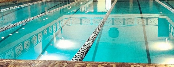 Pool at London Terrace Gardens is one of sports & receation.