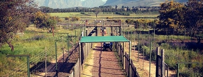 Drakenstein Lion Park is one of Mother City: To-Do in CPT.