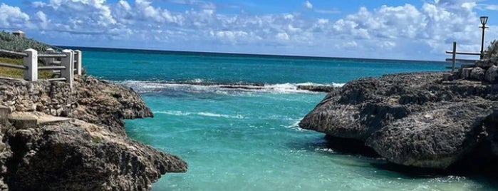 Shark Hole is one of barbados.