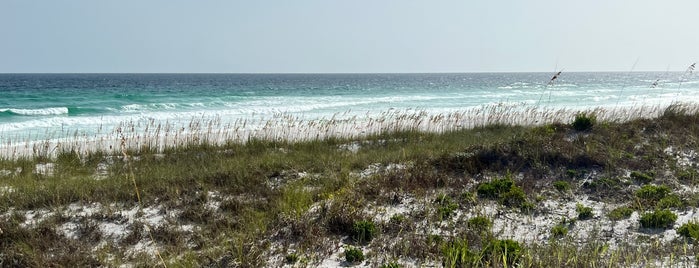 Henderson Beach State Park is one of Anna Maria Island vacation.