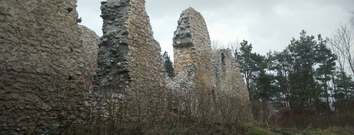 Ruiny Zamku Bydlin is one of Polish Jura.