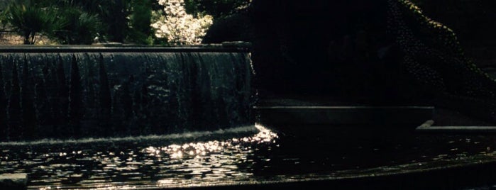 Atlanta Botanical Garden is one of Holly : понравившиеся места.
